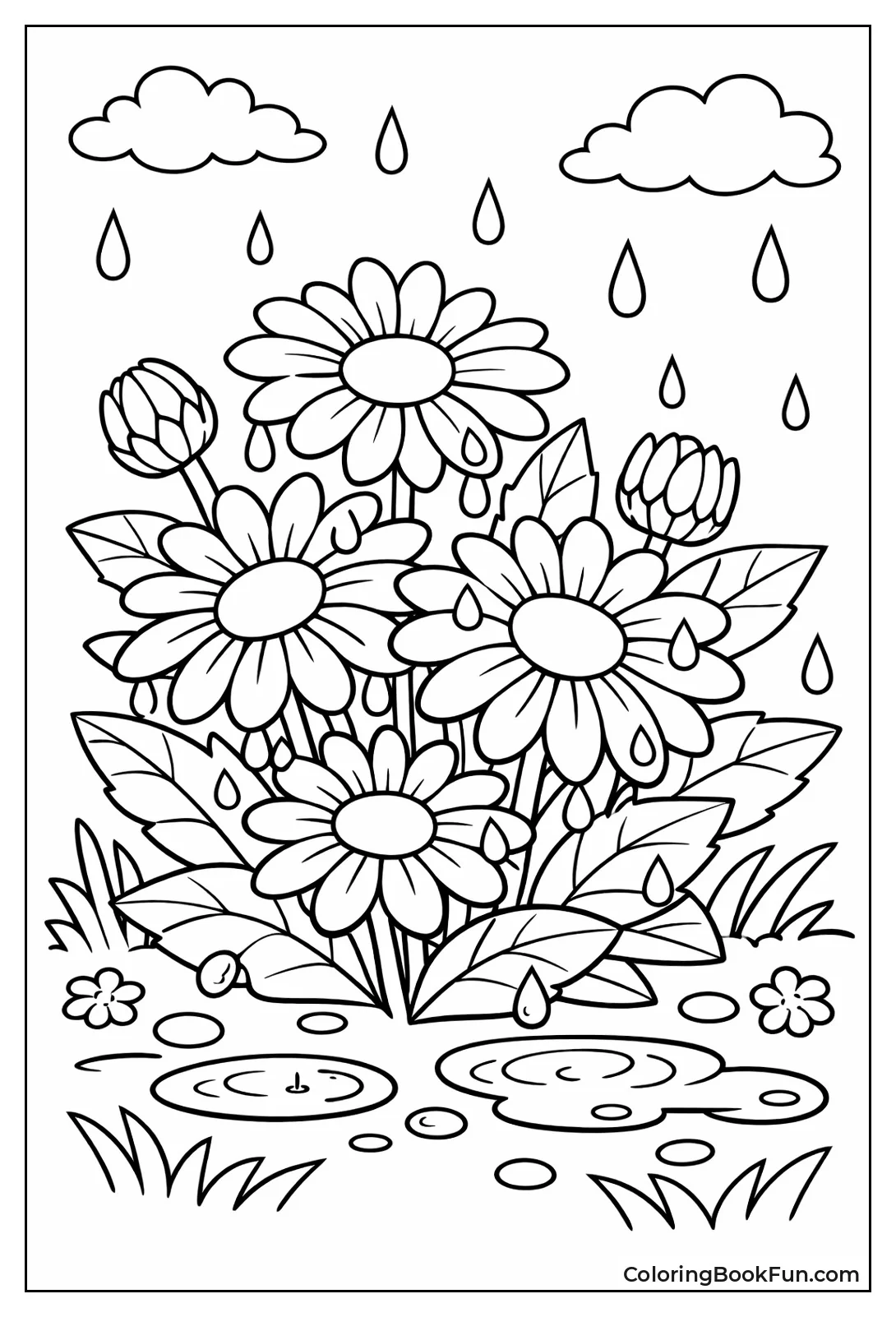 Seasonal Spring Daisies