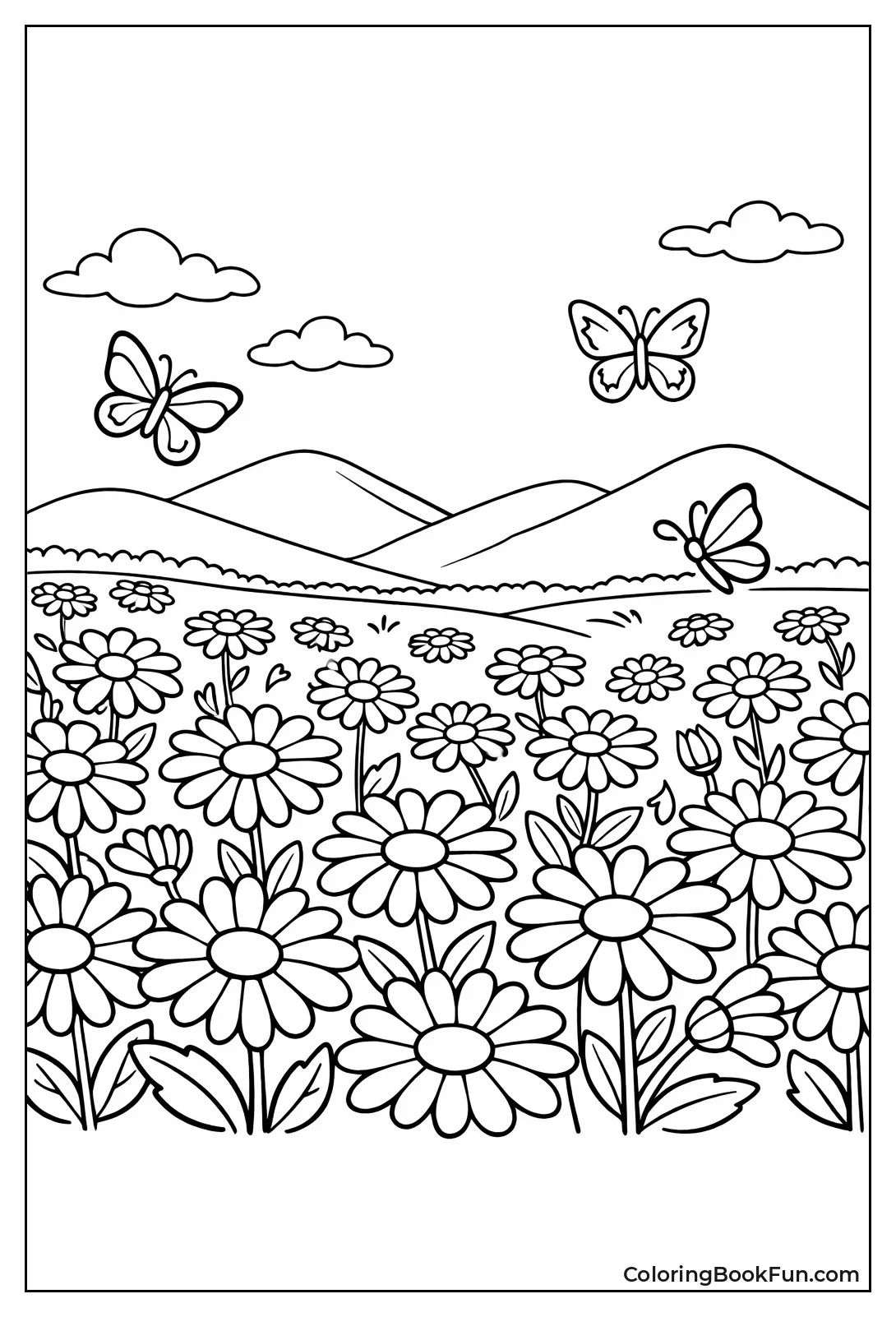 Wild Meadow Panorama