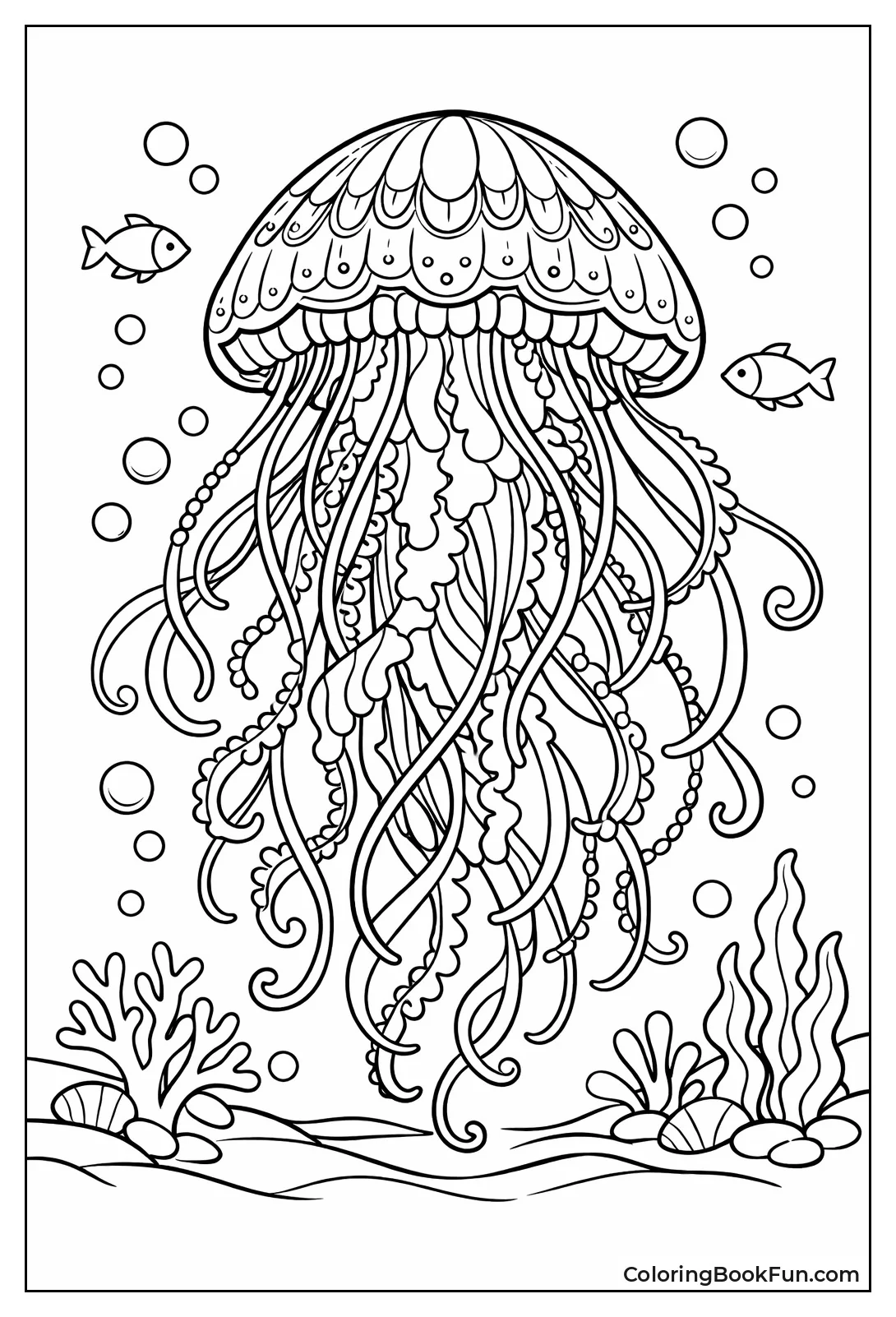Detailed Jellyfish