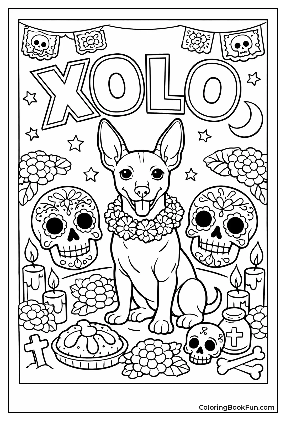 Xoloitzcuintli Guide