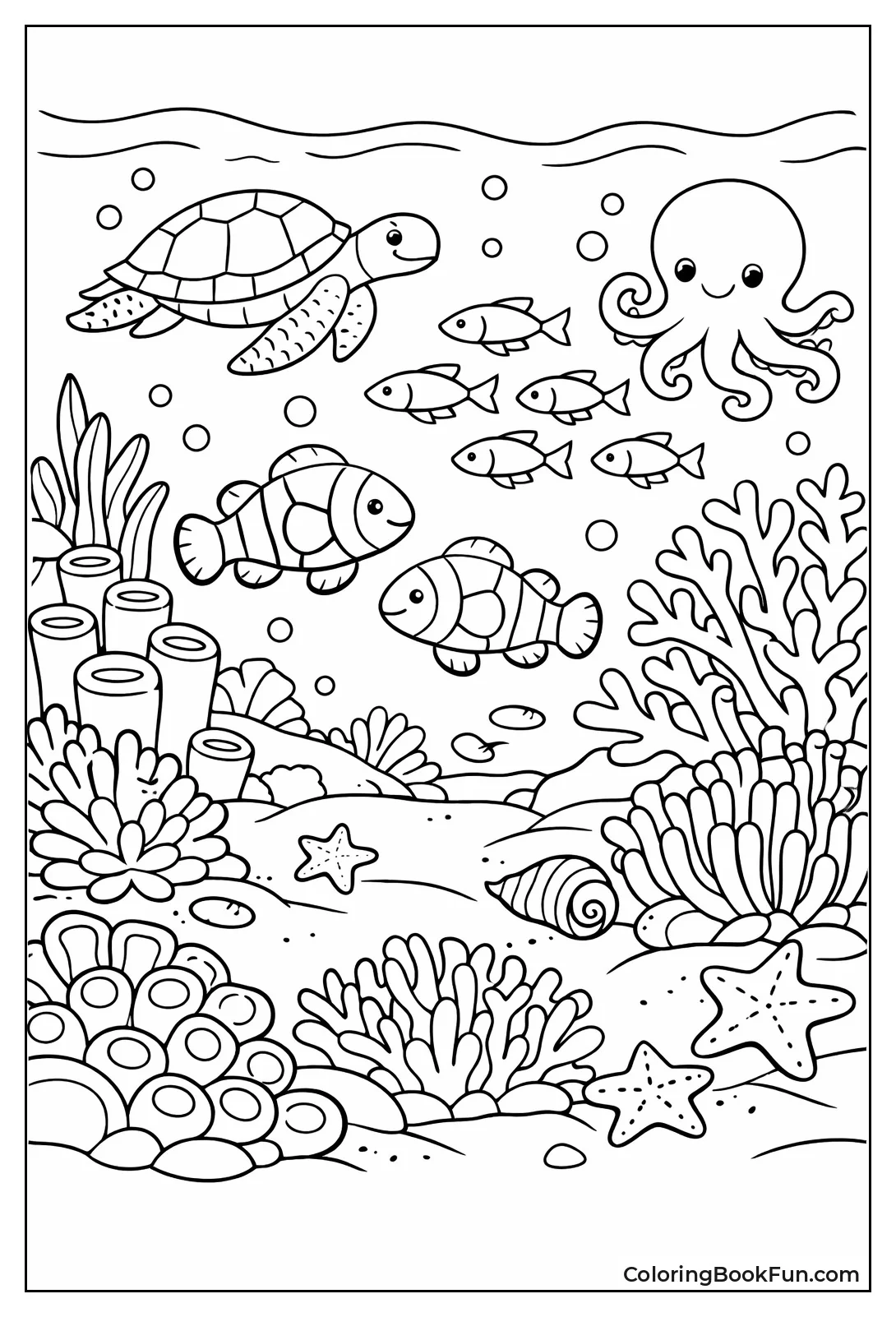 Coral Reef Diversity