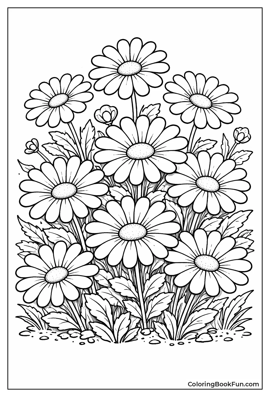 English Daisy Cluster