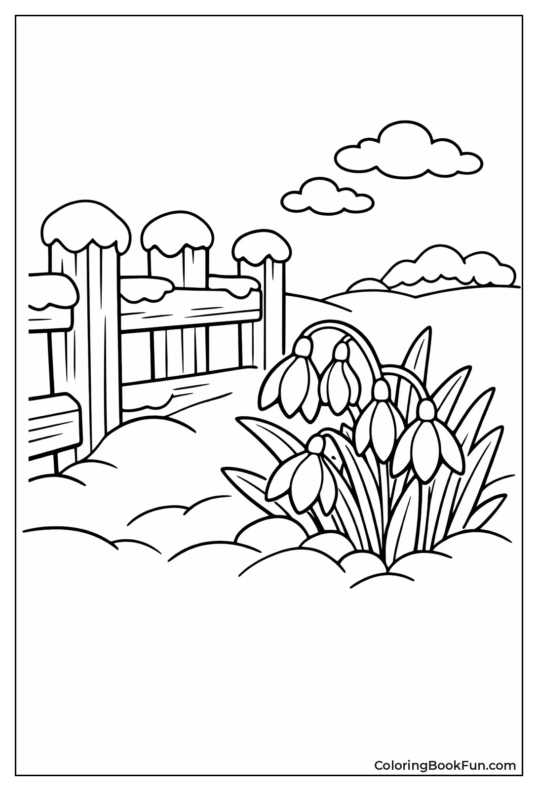 Snowdrop Flowers Bloom