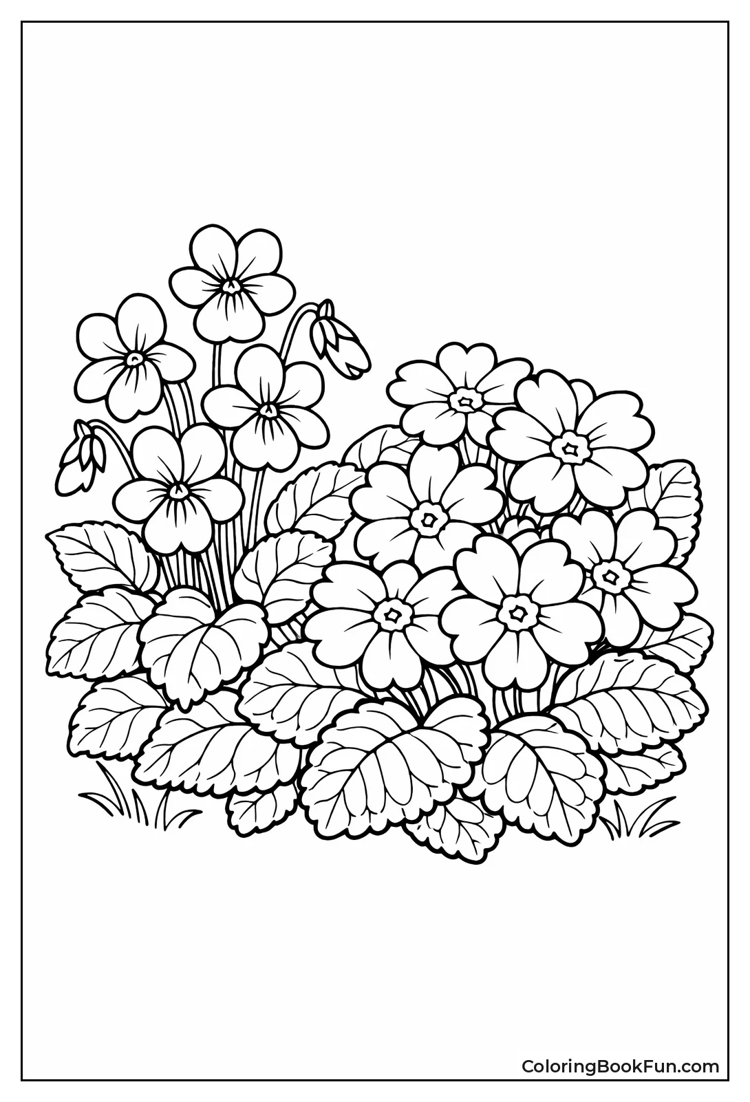 Violets and Primroses