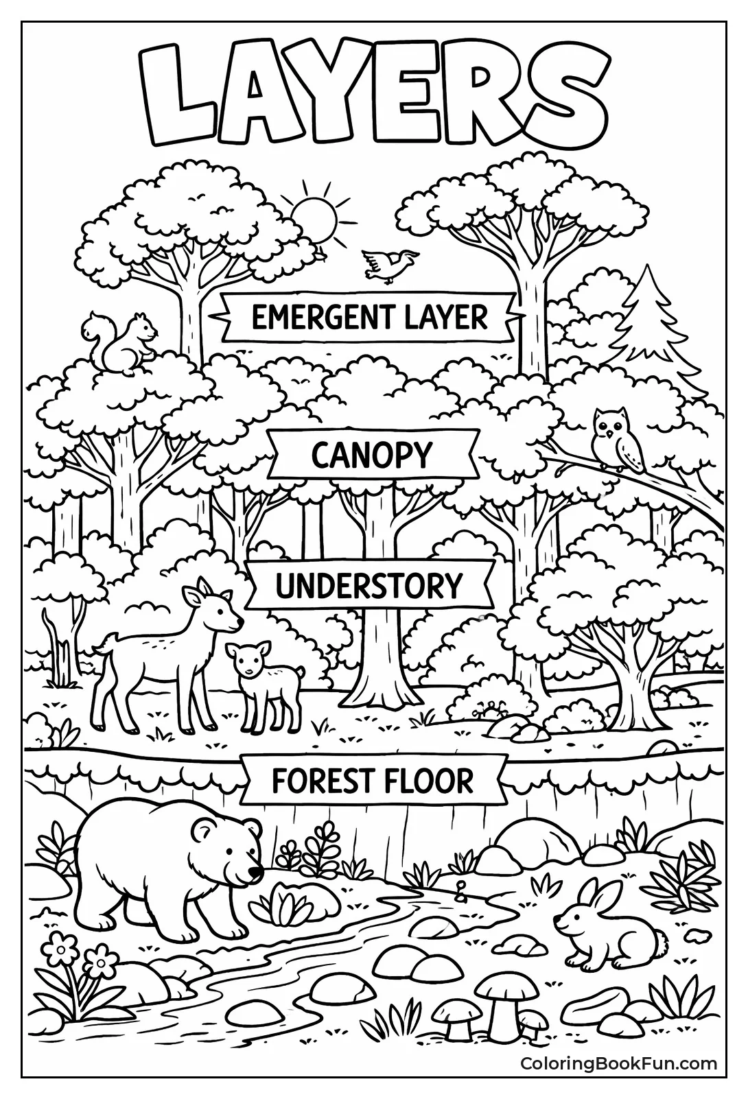 Forest Layers Diagram