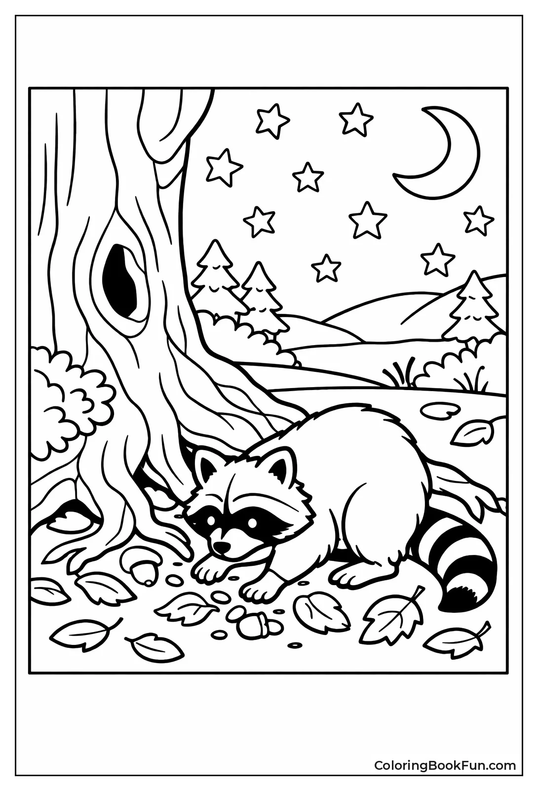 Raccoon Night Explorer