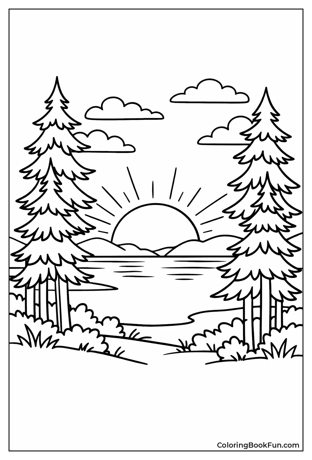 Forest Silhouette Sunset