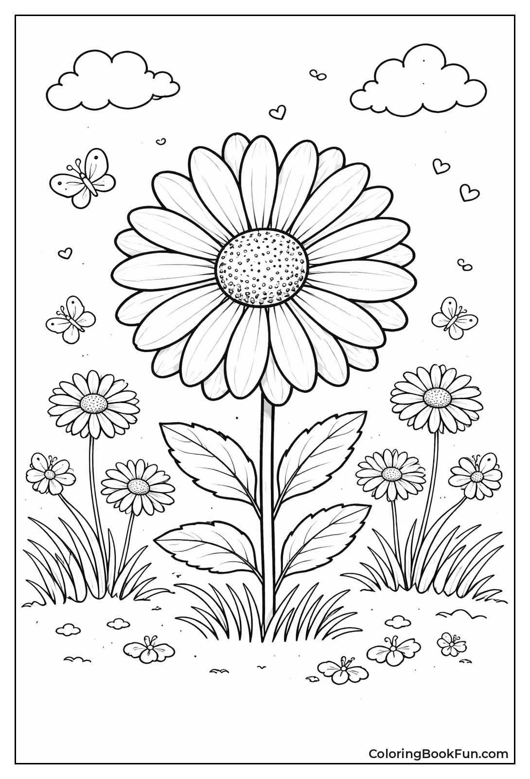 Gerbera Daisy Closeup