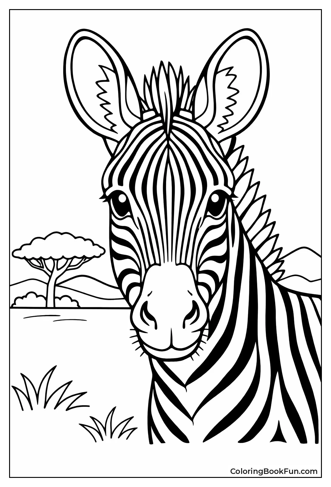 Grevy's Zebra Portrait