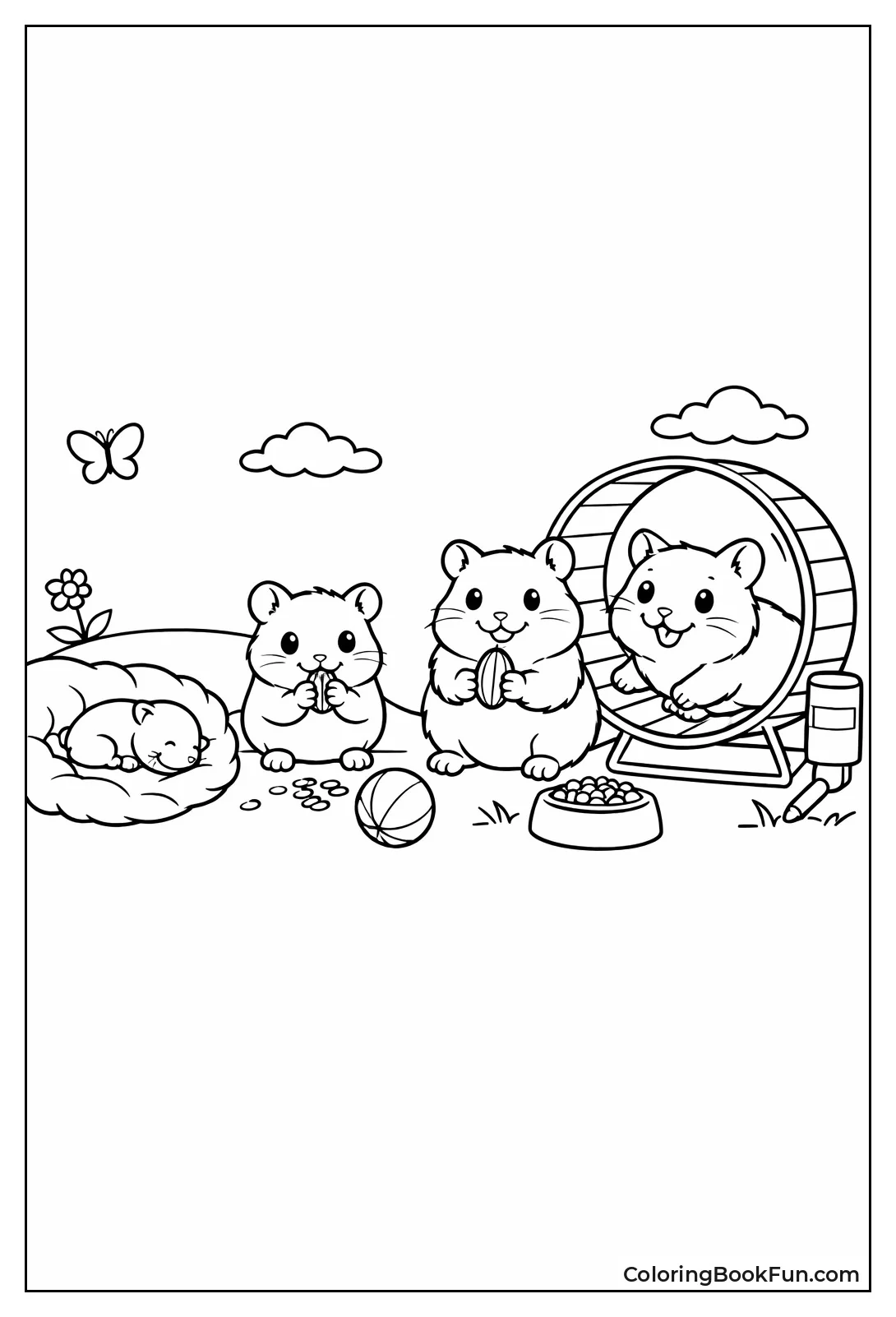Hamster Life Cycle