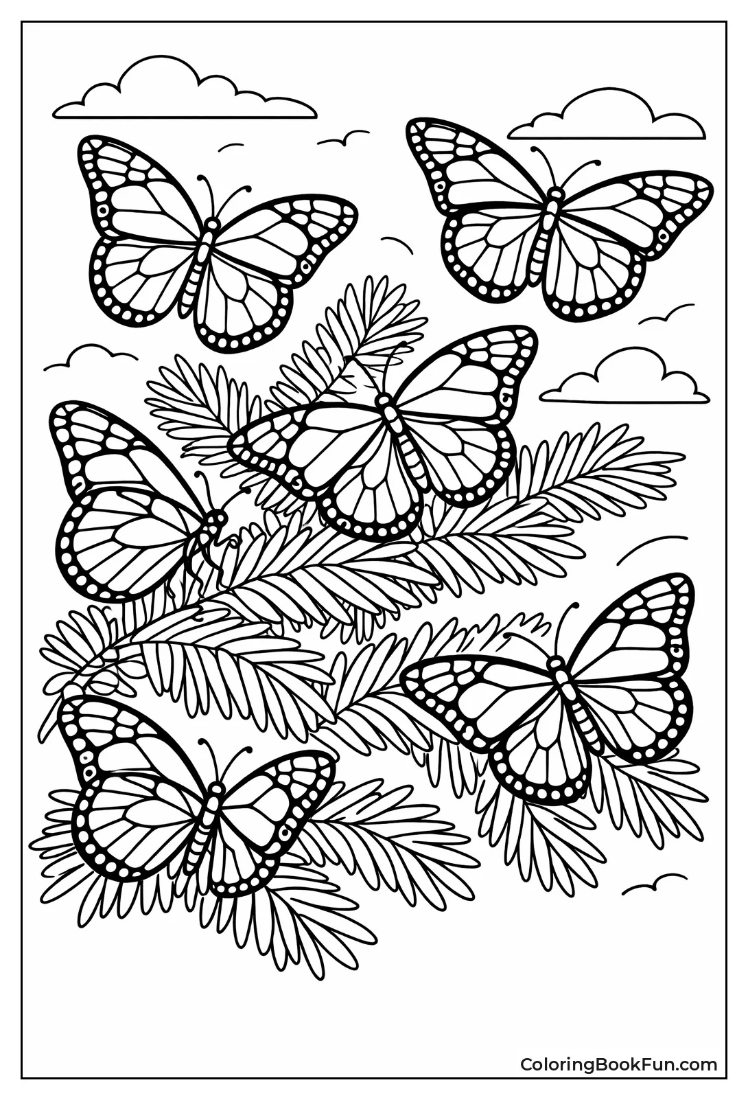 Monarch Butterfly Migration