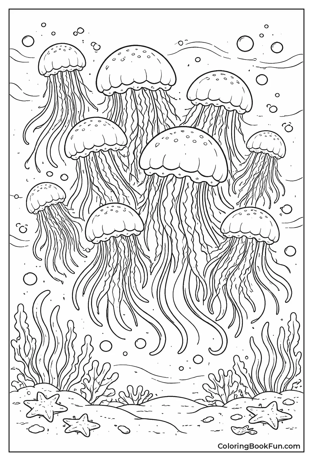 Jellyfish Bloom Group