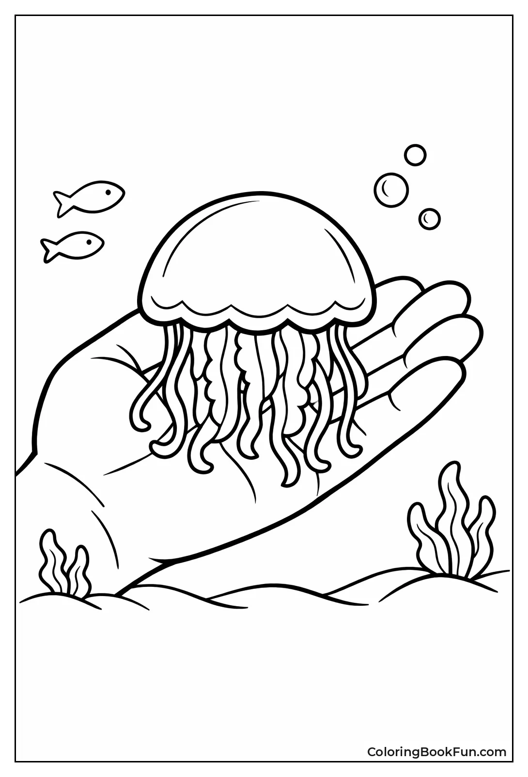 Hand Size Comparison