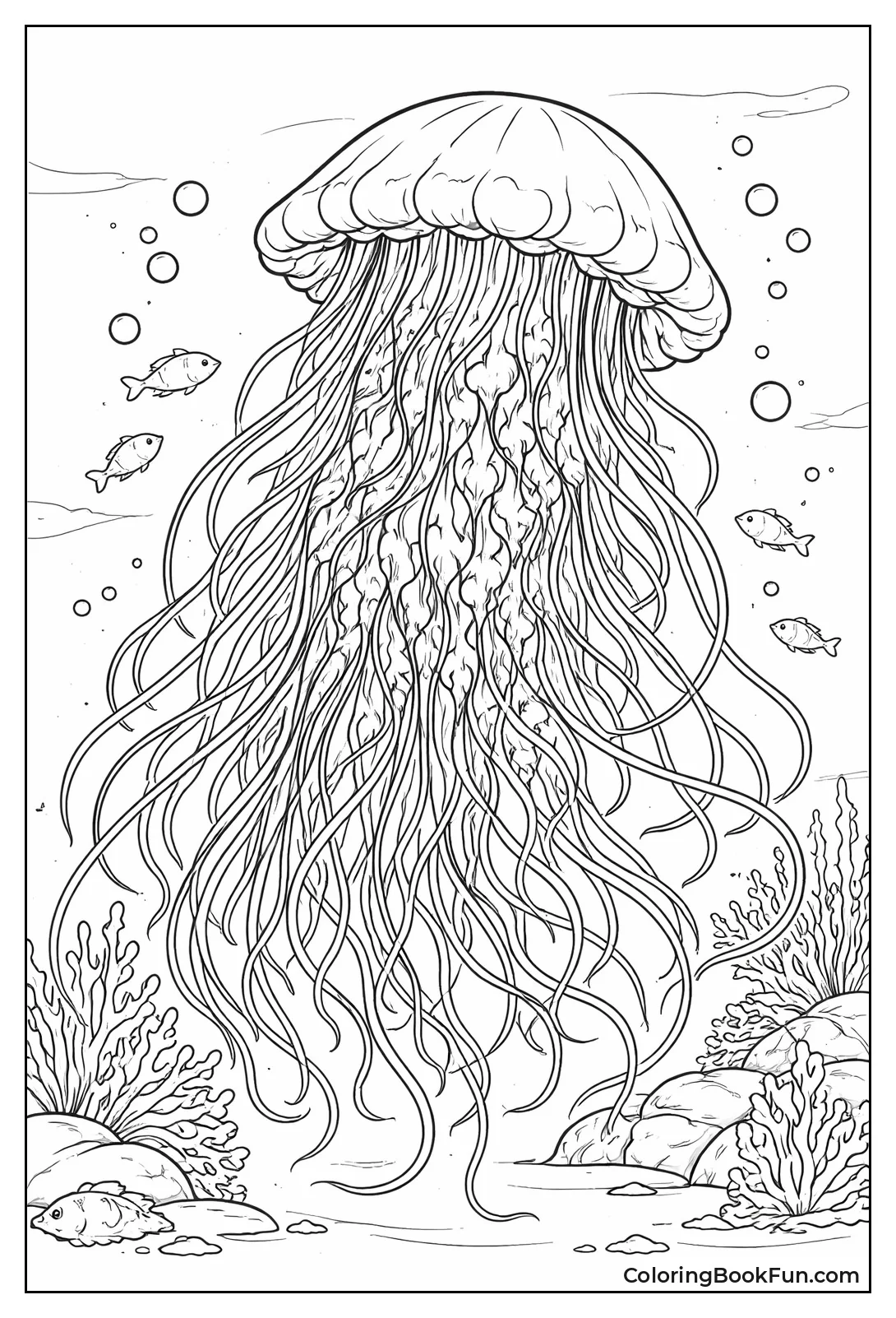 Lion's Mane Jellyfish