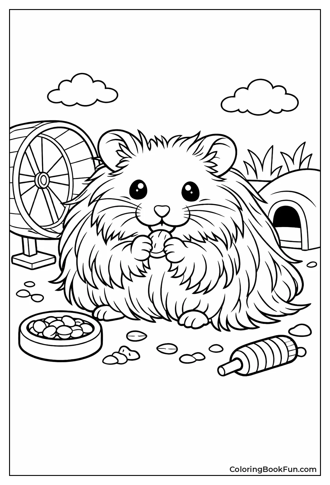 Long Haired Syrian Hamster