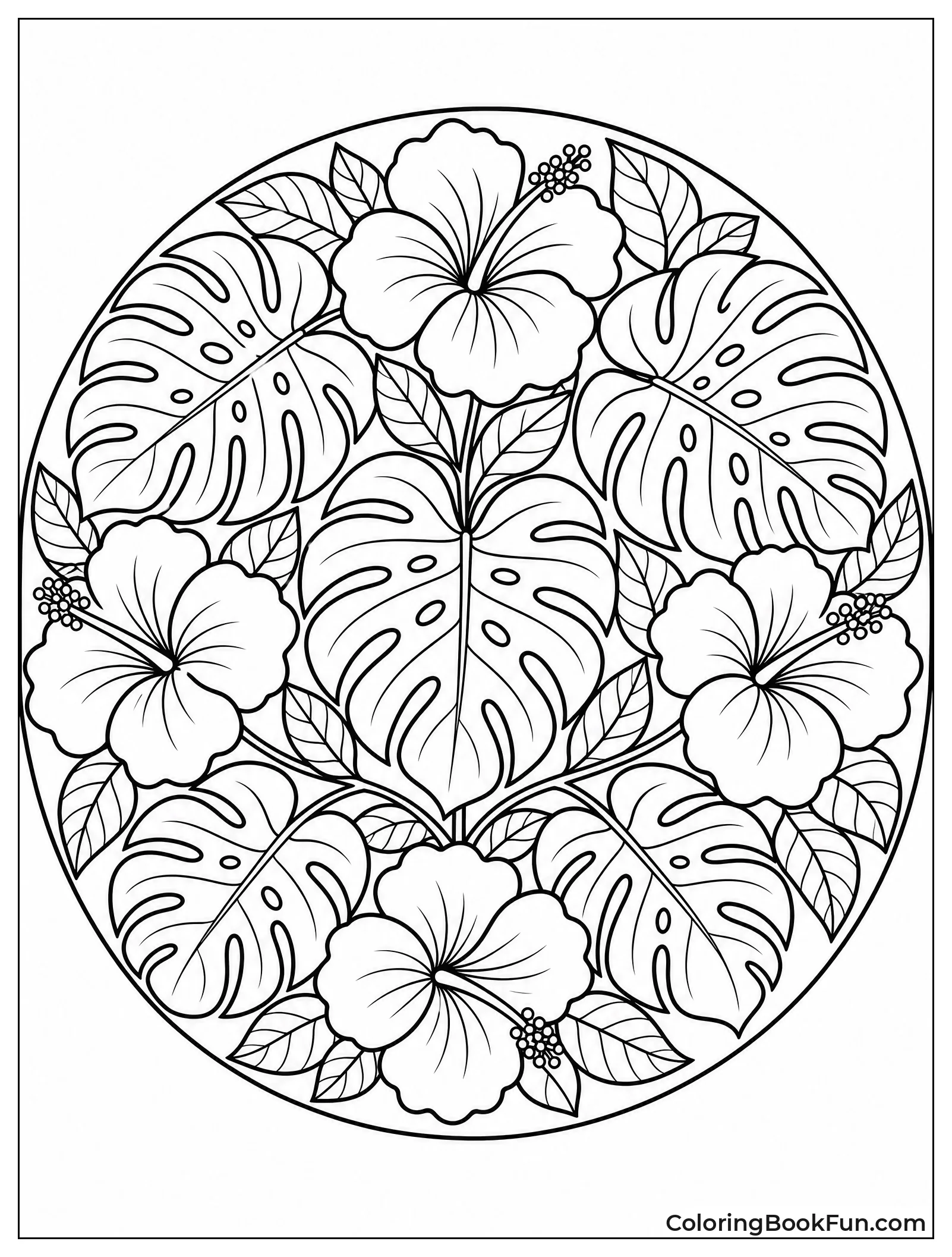 Monstera Leaves in Circular Design
