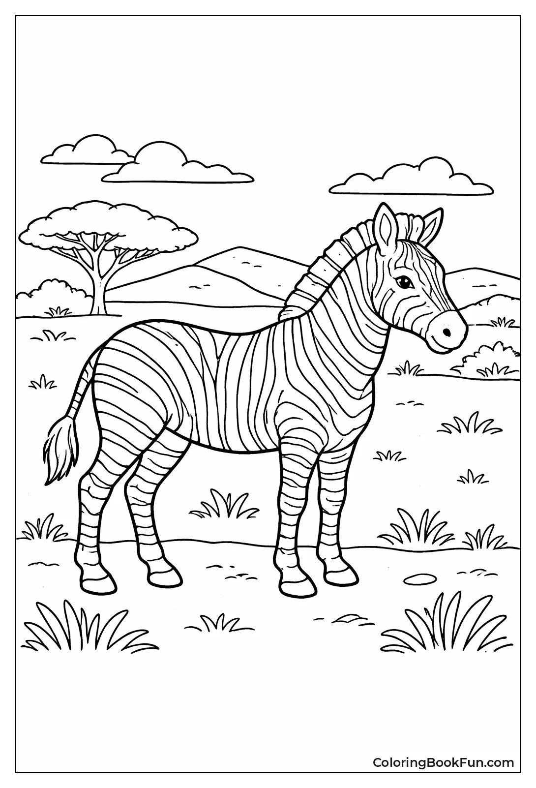 Mountain Zebra Profile