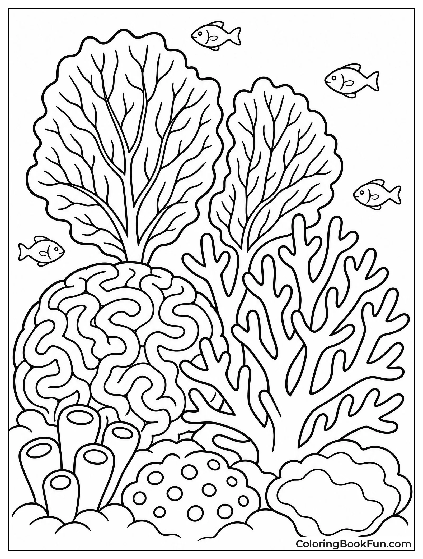 Colorful Coral Grows in Detail