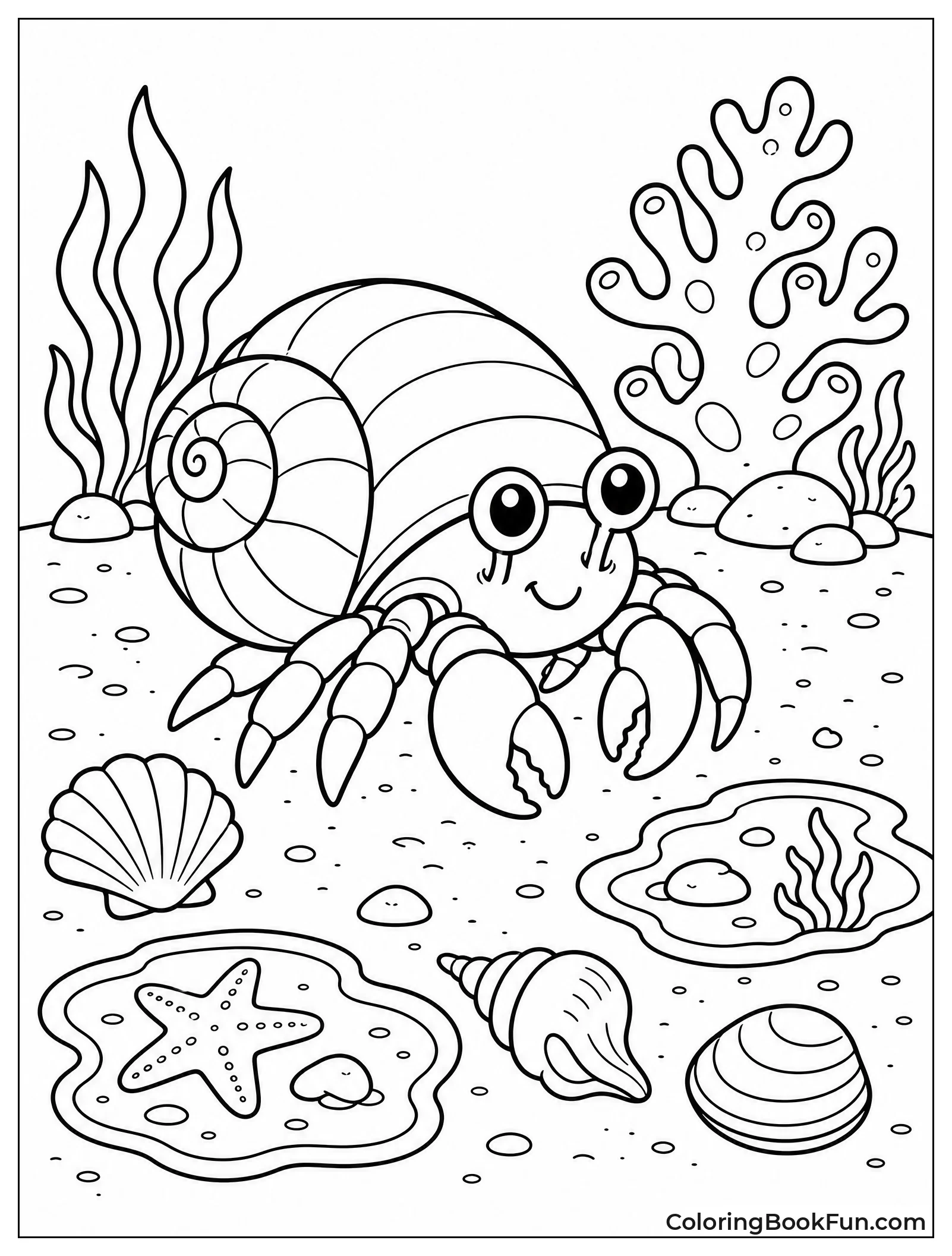 Hermit Crab Scuttles near Shells