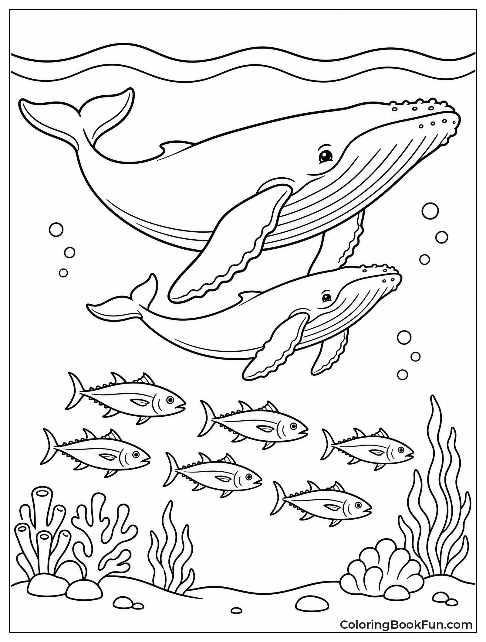 Whales Migrate through Open Water