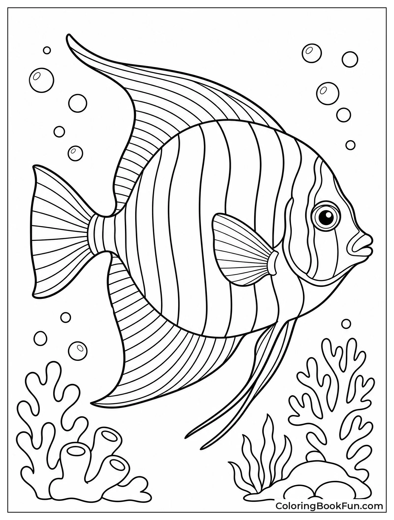 Striped Angelfish Shows Flowing Fins