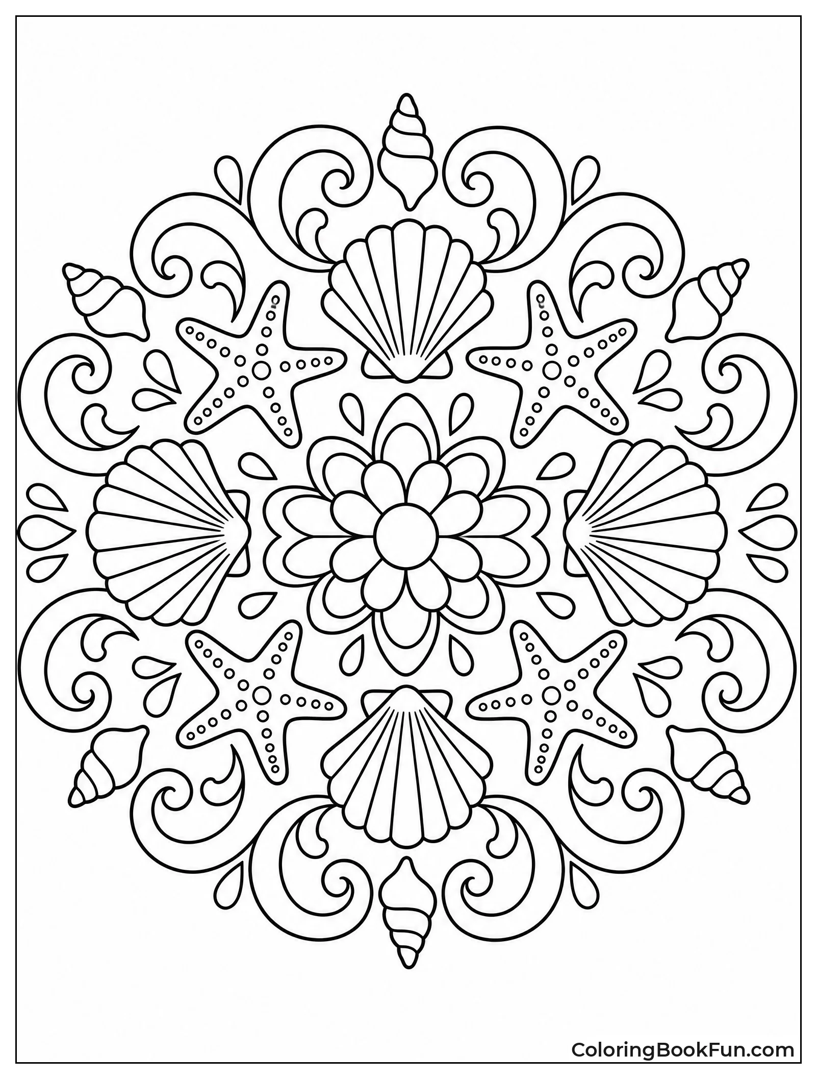 Seashells Form Symmetrical Mandala