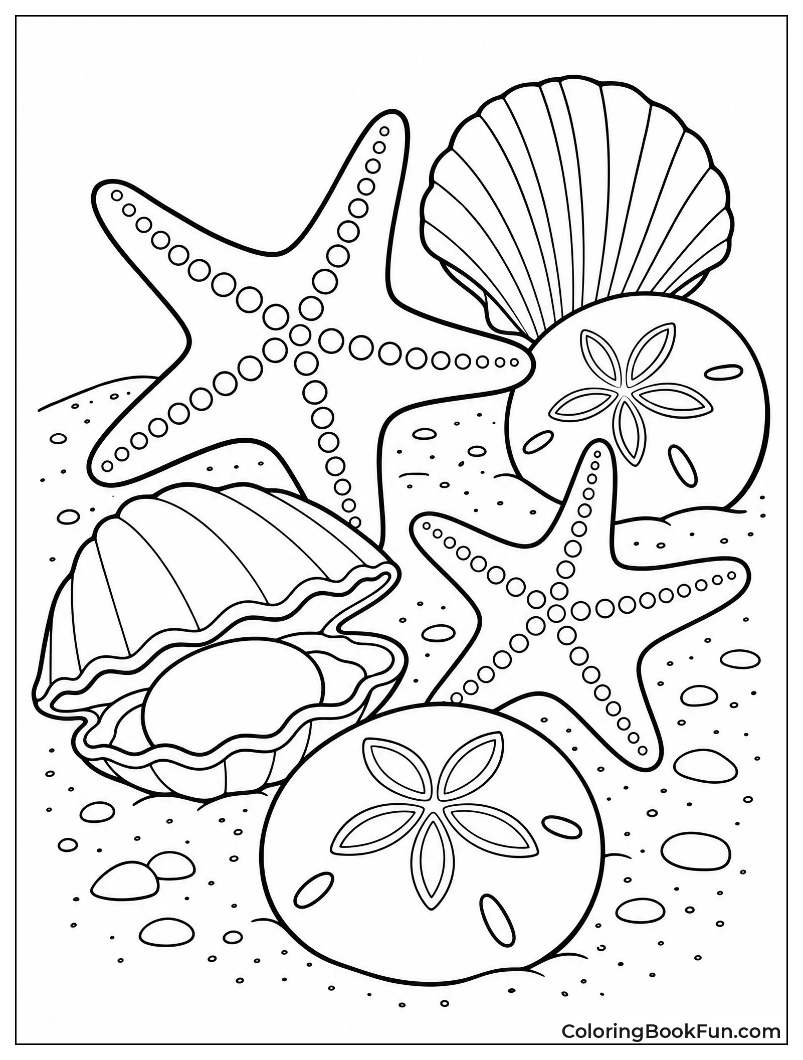 Starfish Rest beside Clams