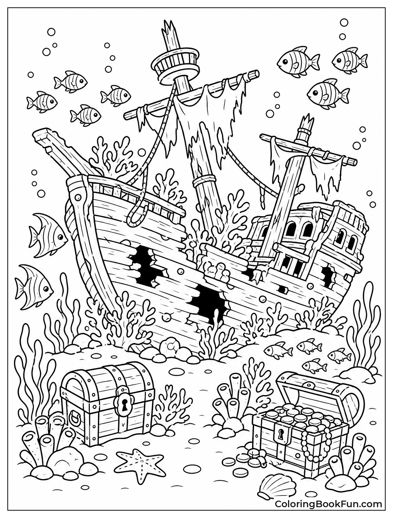 Sunken Ship Holds Coral Treasure