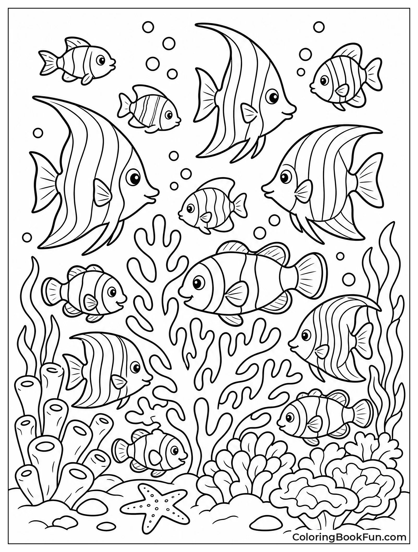 Tropical Fish Dart near Coral