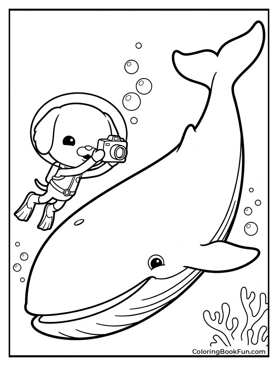 Dashi Underwater Photography