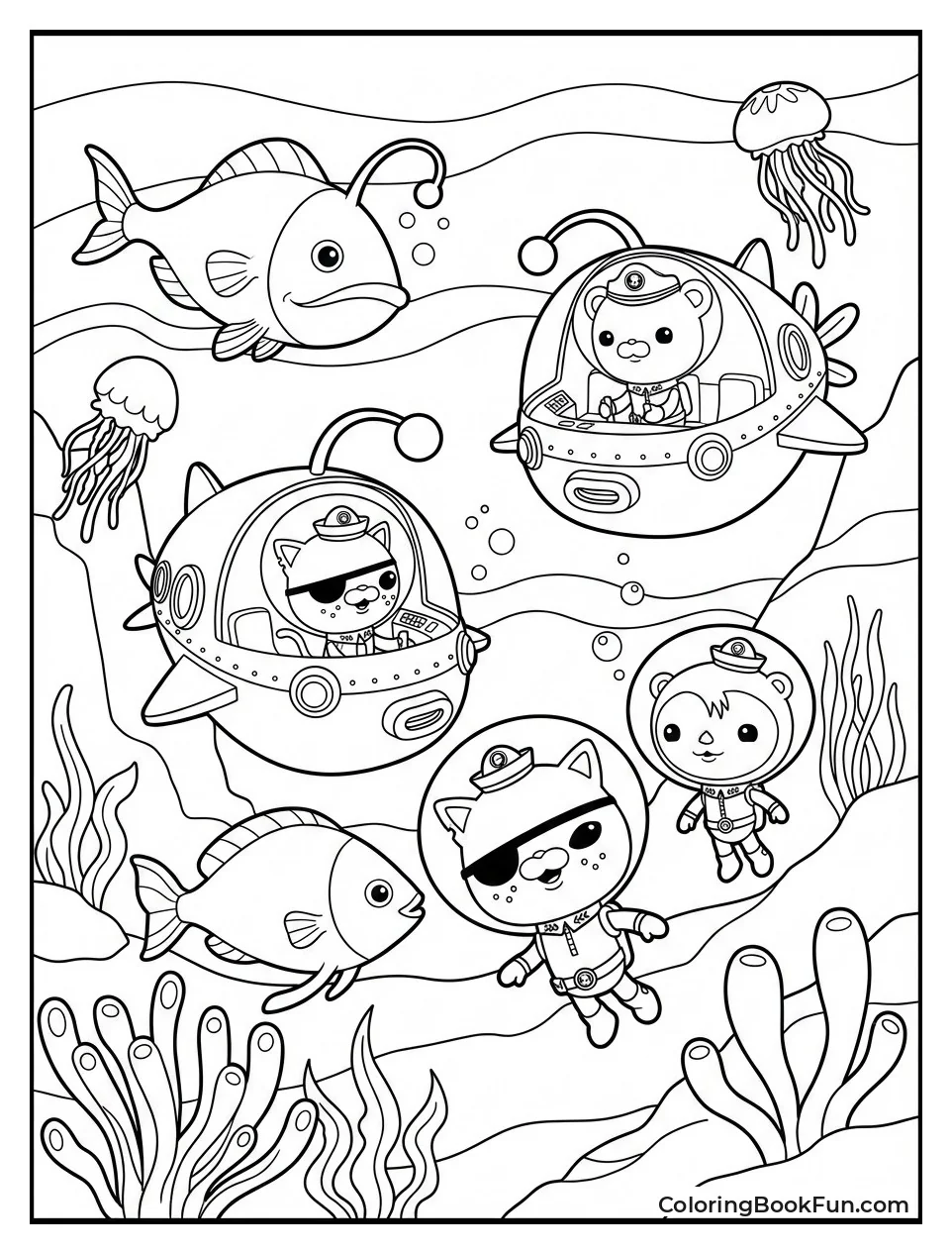 Midnight Zone Discovery