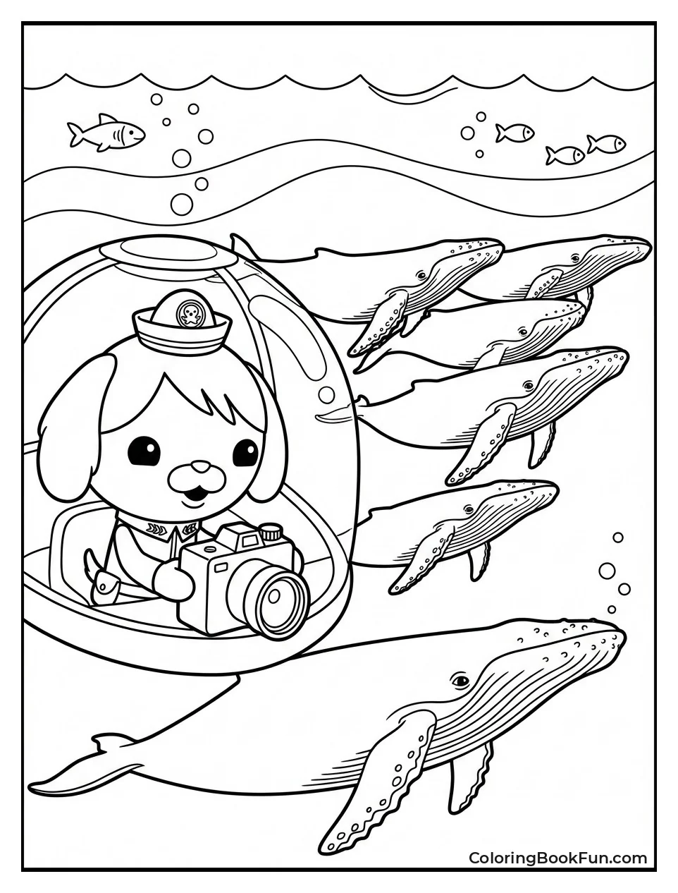 Whale Migration Watch