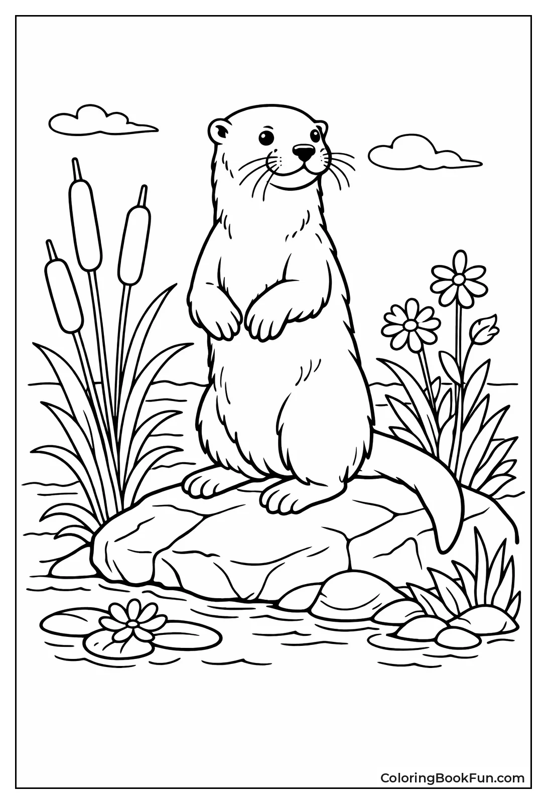 Vintage Naturalist Sketch