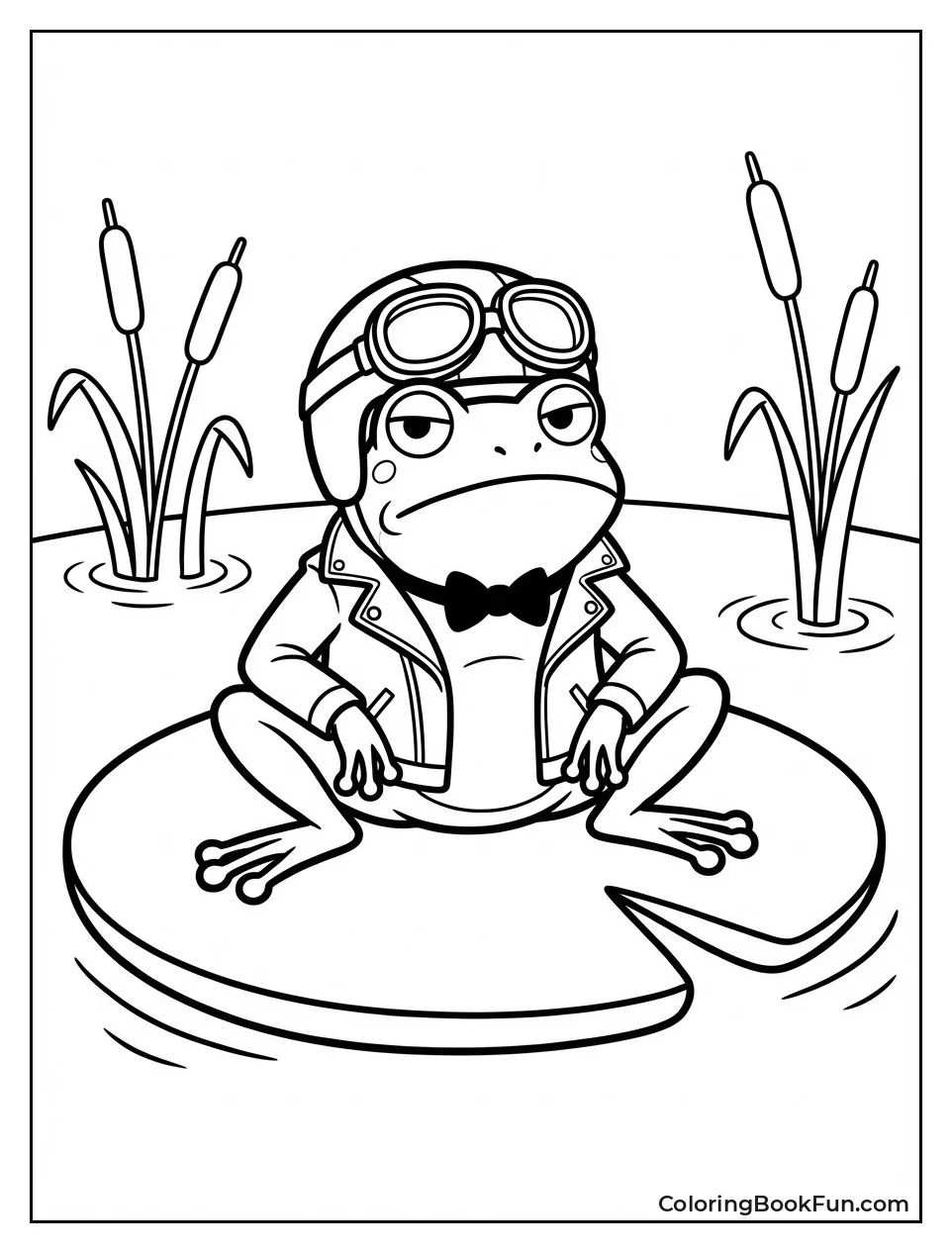 Grumpy Toad on Lily Pad