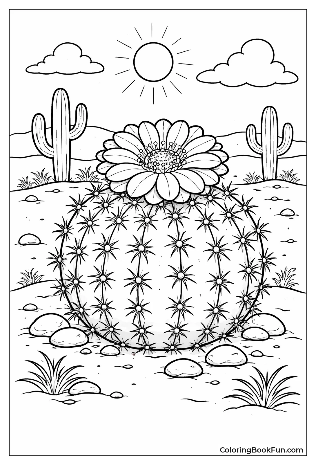 Pincushion Cactus Bloom