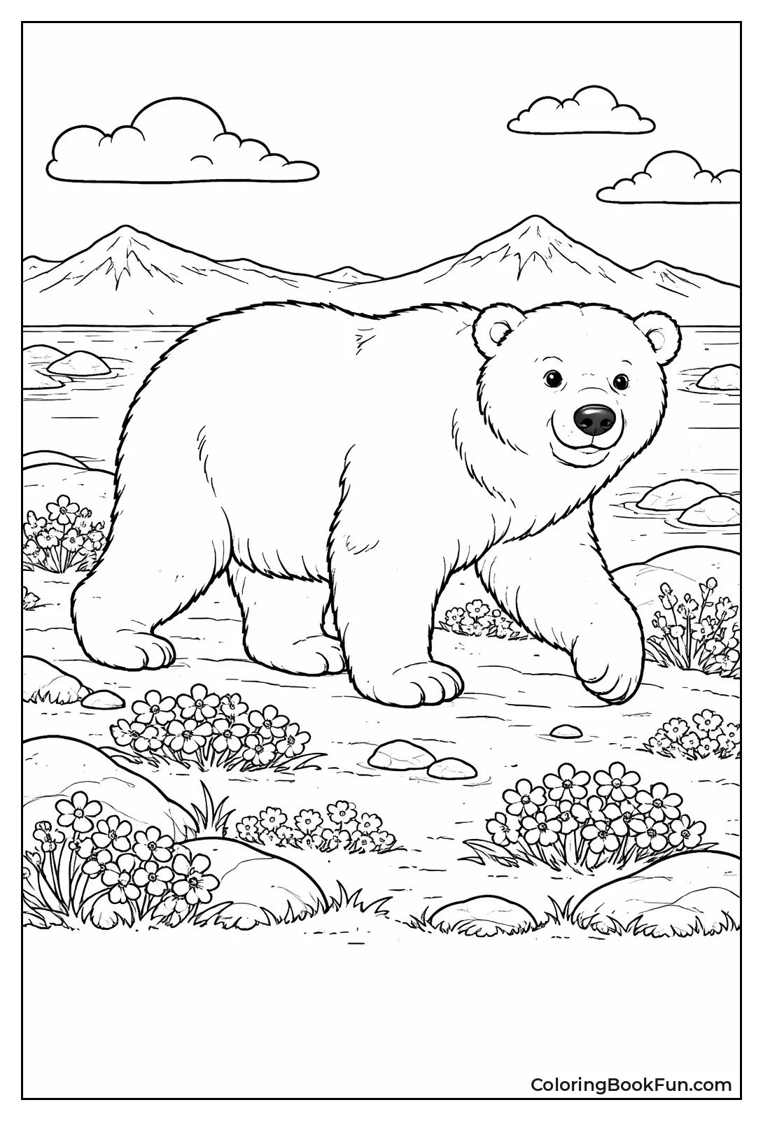 Arctic Summer Tundra