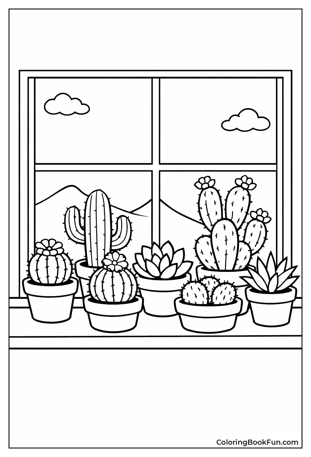 Potted Cactus Garden