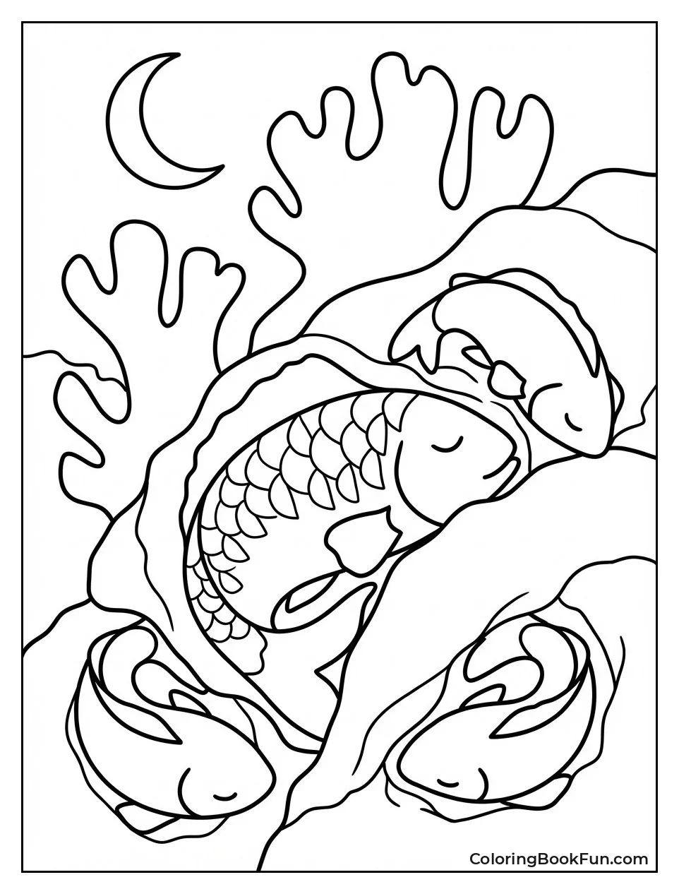 Nighttime Reef Sleep