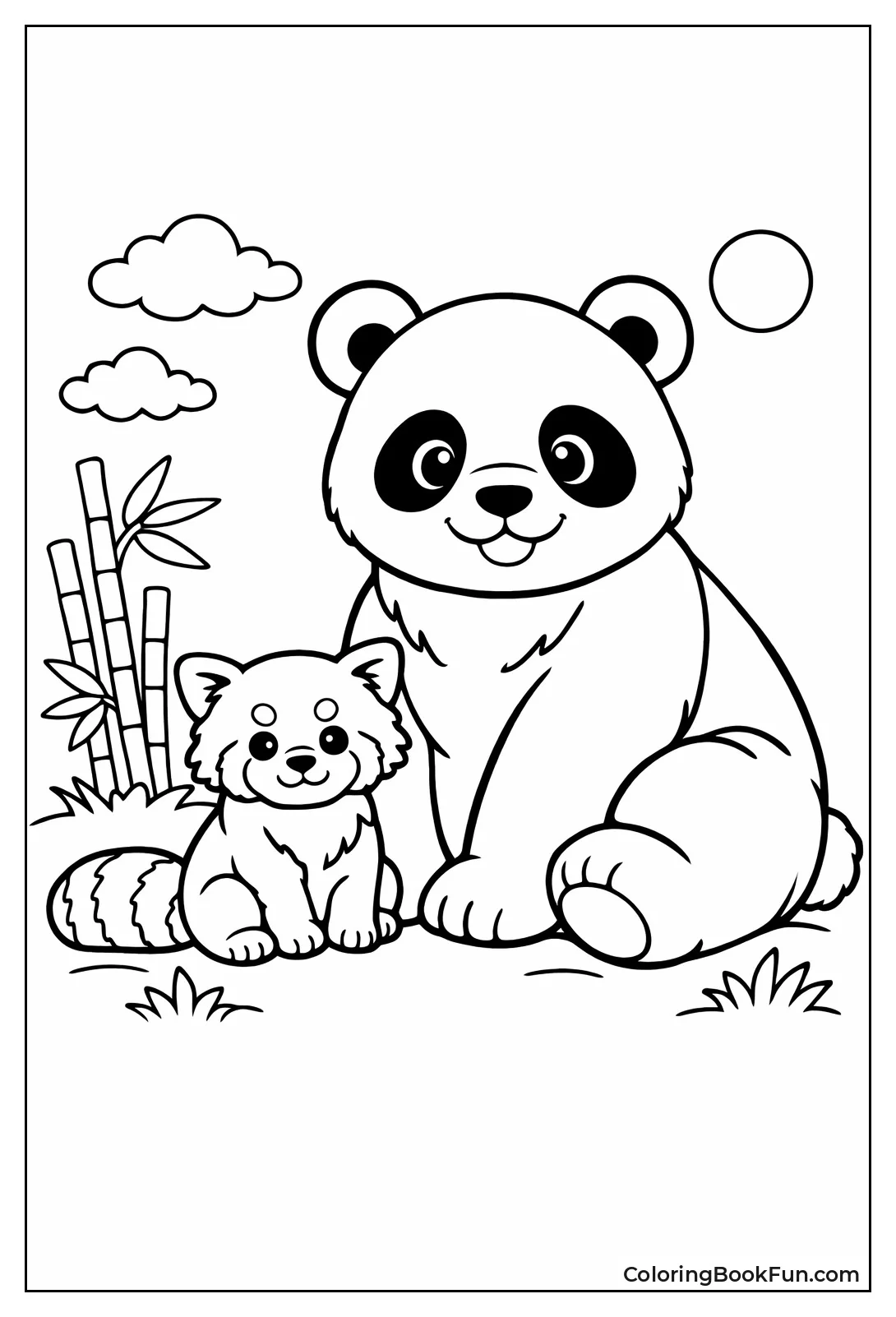 Red Panda vs Giant Panda