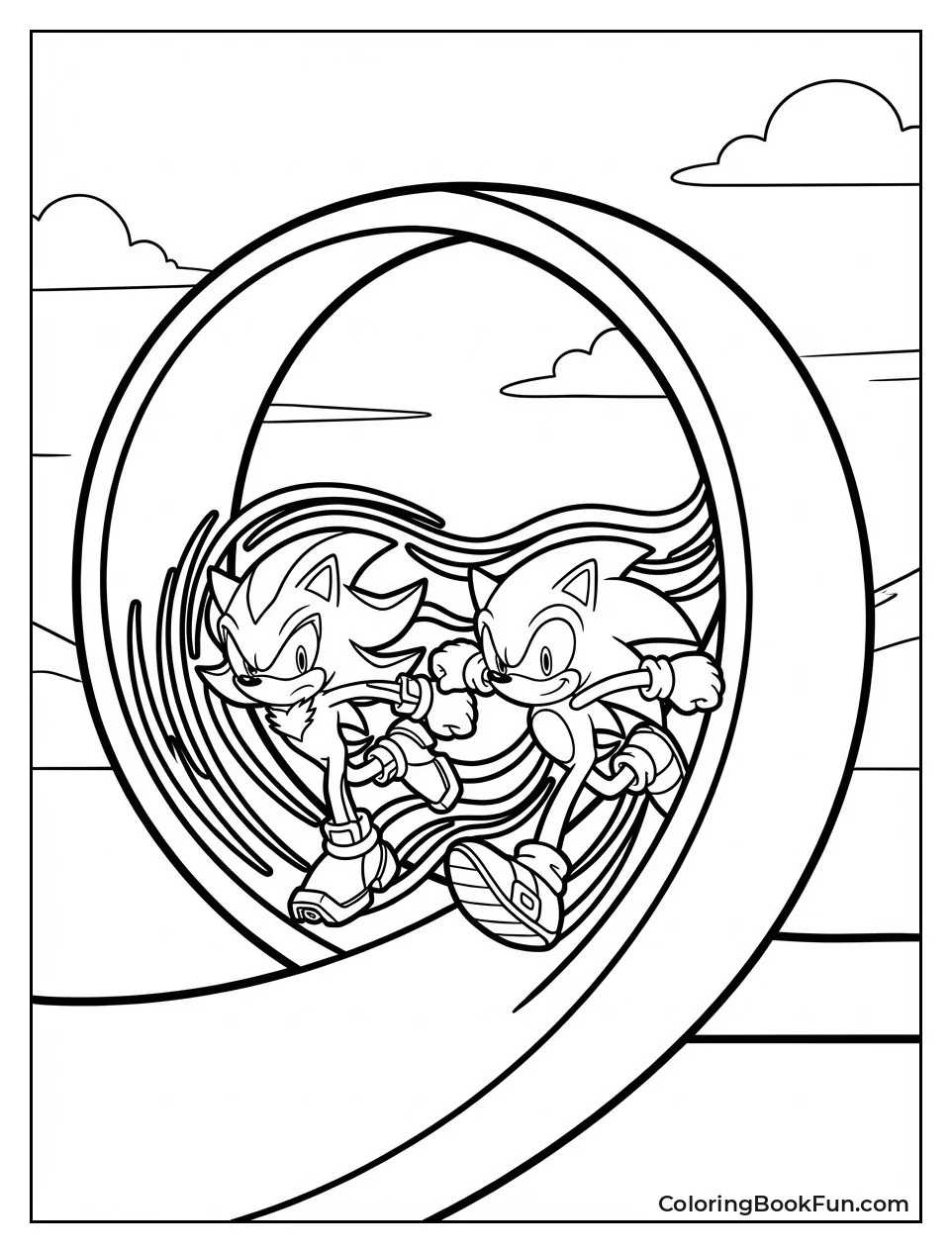 Shadow and Sonic Race