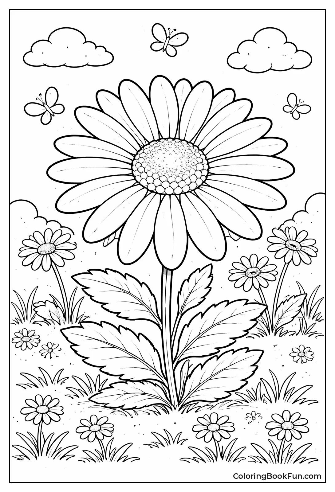 Shasta Daisy Portrait