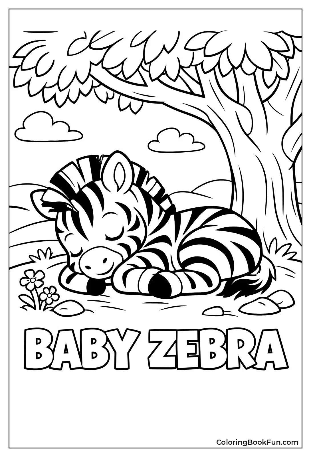 Sleeping Baby Zebra