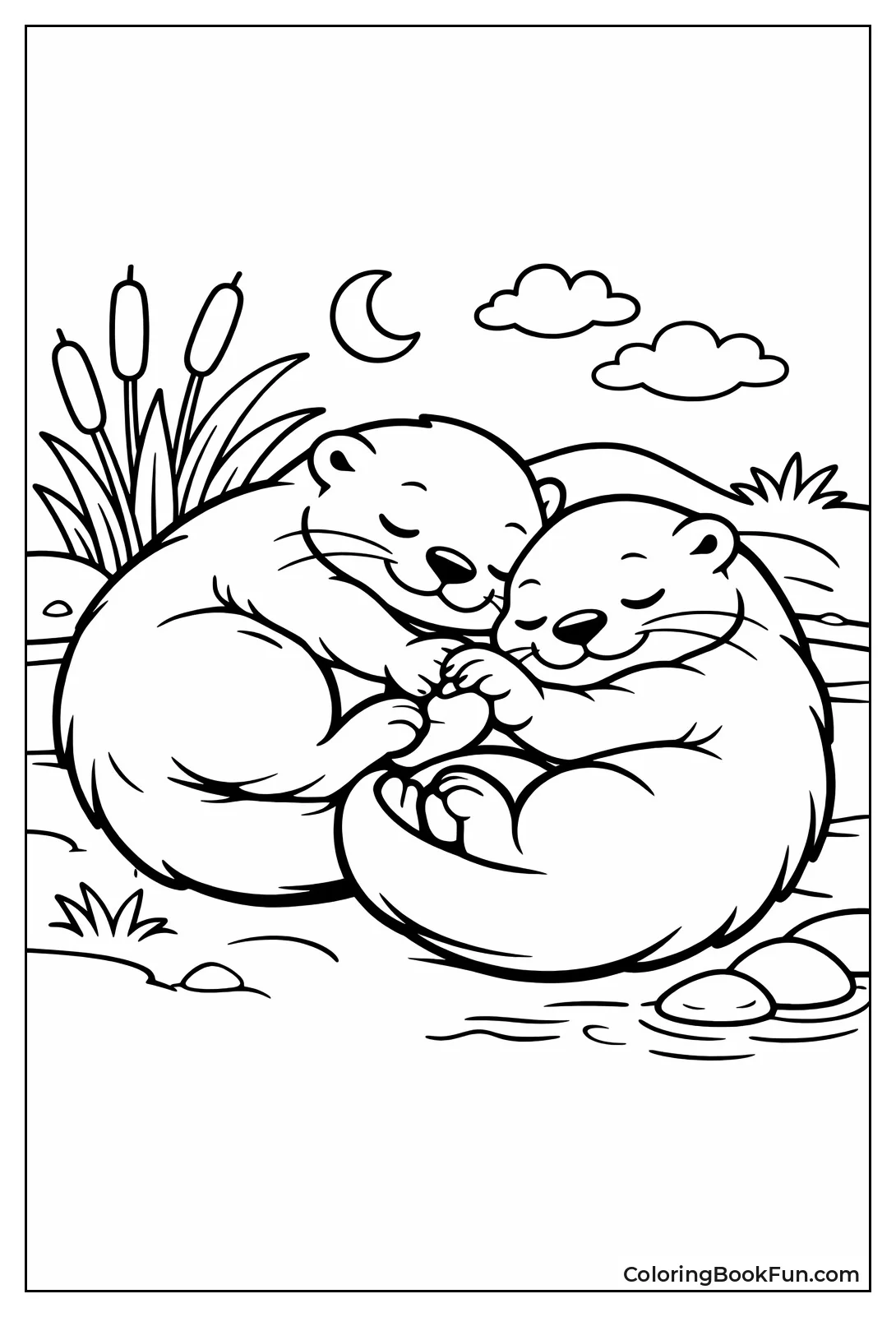 Sleeping Otter Group