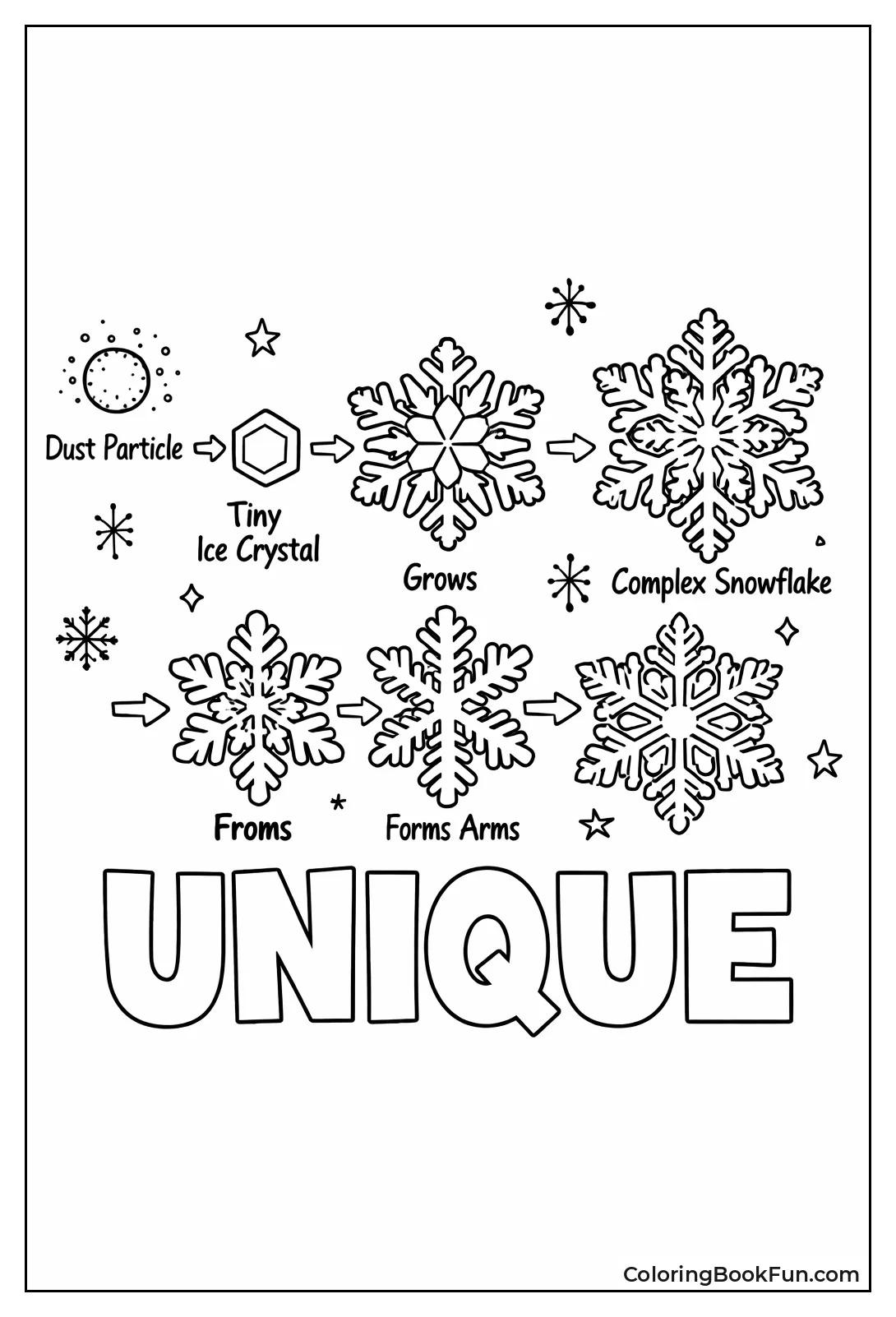 Snowflake Growth Stages