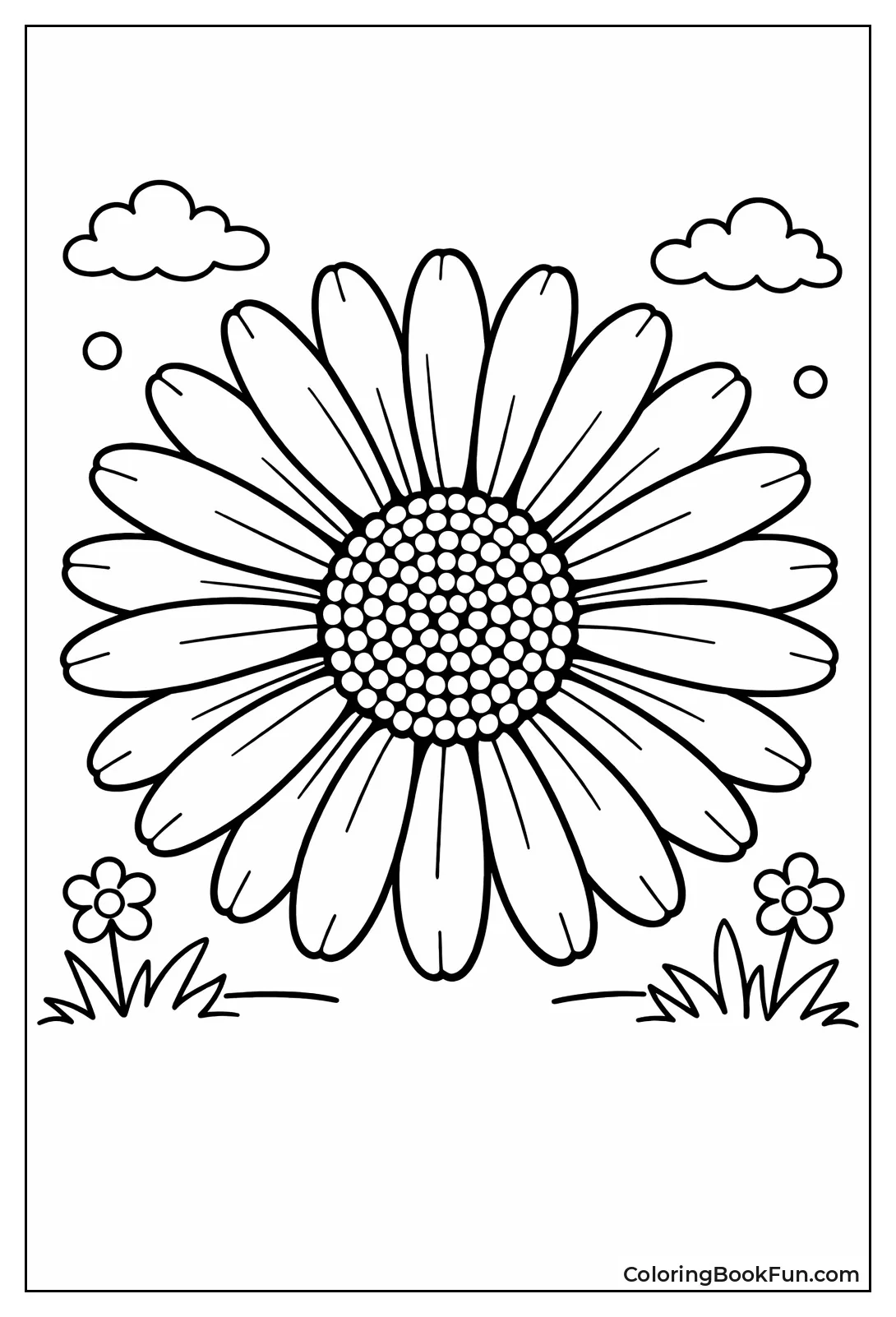Symmetrical Daisy View