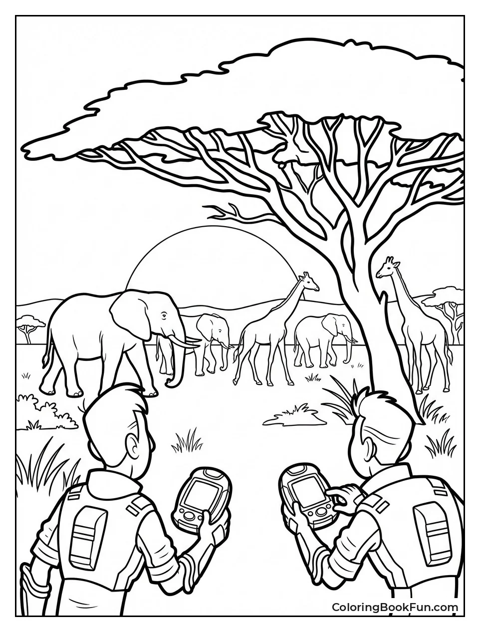 African Savanna Sunset