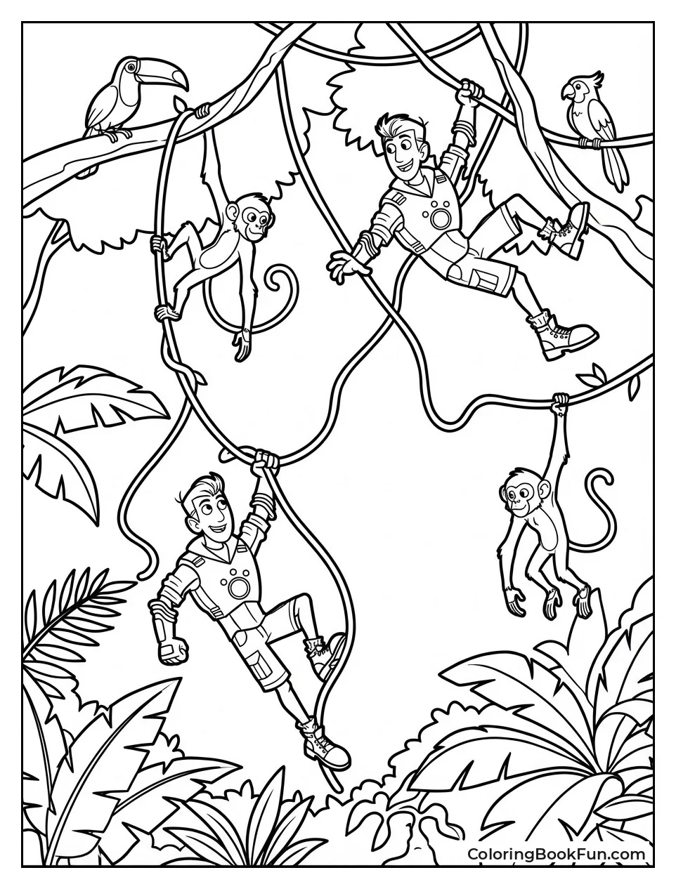 Rainforest Canopy Exploration