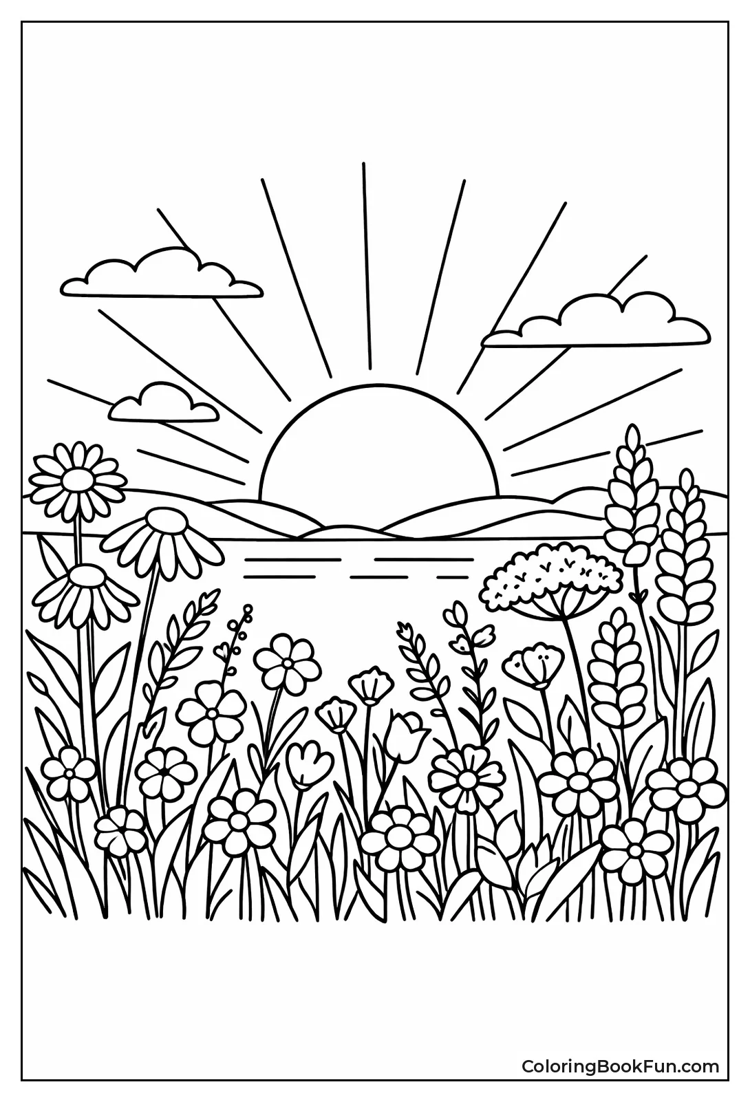 Wildflower Field Sunset