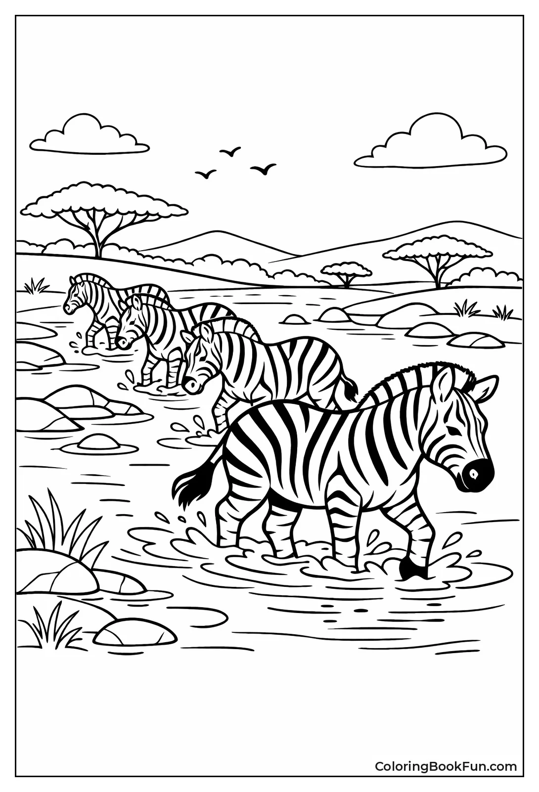 Zebra Crossing the River
