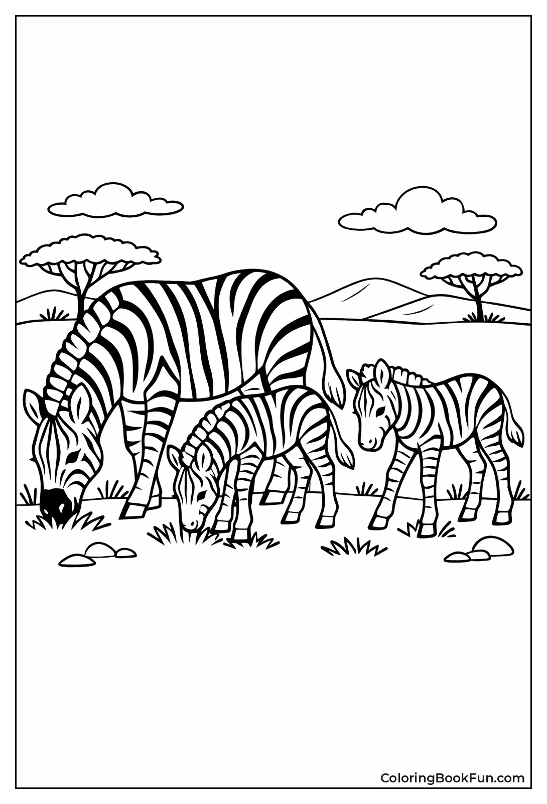 Zebra Family Herd